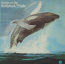 Роджер Пейн - Whale.jpg