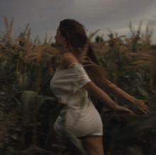 A slightly blurry shot of Beer running through a tall corn field with a white dress on