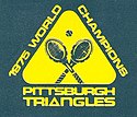 PittsburghTrianglesWTTlogo.jpg