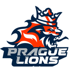 Team logo