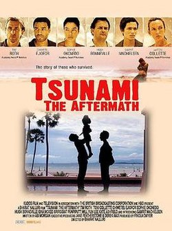 Tsunami The Aftermath Poster.jpg