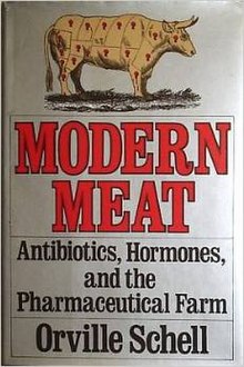 Обложка Modern Meat.jpg
