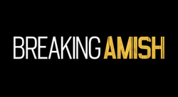 Breaking Amish tlc logo.png