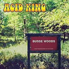 Acid King Busse2.jpg