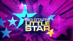 Логотип Big Star's Little Star.png