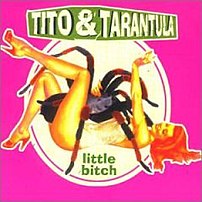 Little Bitch album cover