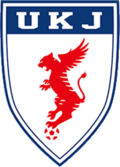 Shirt badge/Association crest