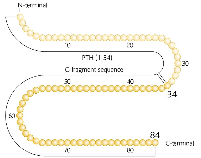 File:PTH 1-84.jpg