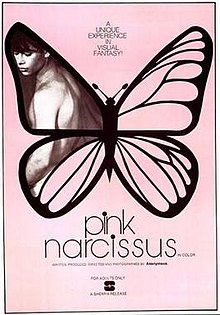 Pink Narcissus movie