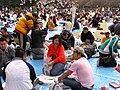 Cherry Blossom parties in Shinjuku Gyoen