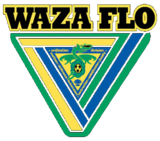 Waza flo logo.png