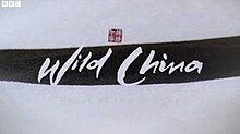 Wild China title card