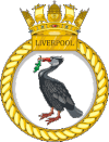 HMS Liverpool.gif