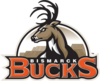 Logo společnosti Bismarck Bucks