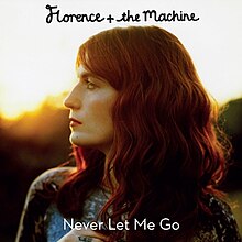 Florence And The Machine Never Let Me Go