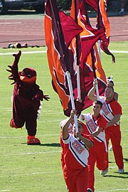 Hokiebird.jpg