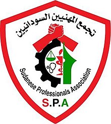 Суданская ассоциация профессионалов logo.jpg