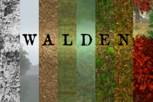 WaldenMenu Banner RGB small.png