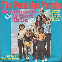 Трудно расстаться - Partridge Family.jpg