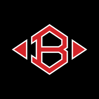 Clear Brook High School logo