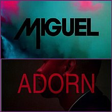 Miguel - Adorn.jpg