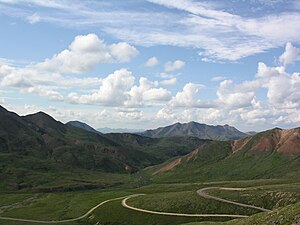 The single road within Denali National Park