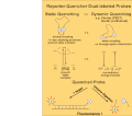 Dark quenching mechanisms