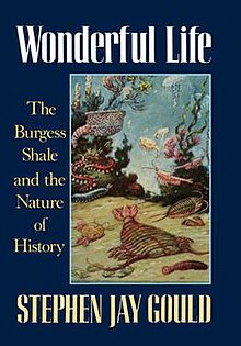 Wonderful Life (first edition).jpg