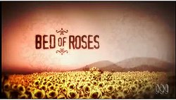 Bed of Roses TV series.jpg