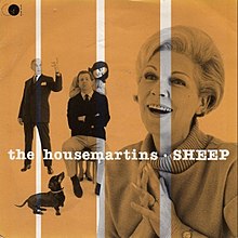 Sheepthehousemartins.jpg