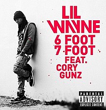 220px-Lilwayne6foot7footcover.jpg