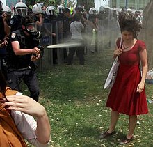 The iconic Woman in Red image 2013 protests in Turkey , Woman in Red image.jpeg