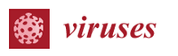 Вируси-logo.png