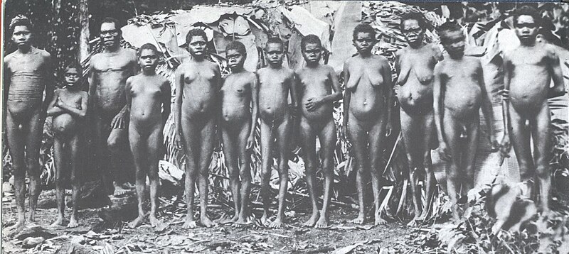 File:Aboriginal encampment in rainforest behind Cairns, 1890.jpg