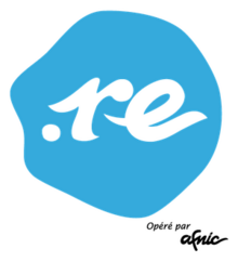 DotRe domain logo.png