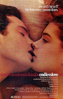 Endless Love movie