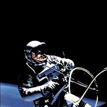 220px-AfghanWhigs1965.jpg