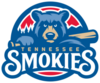 TennesseeSmokies.PNG