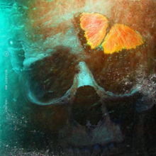 A skull can be seen with a butterfly on it.