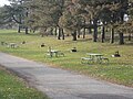 View of campground