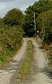 Country lane ("boreen", from Irish bóithrín) on the Castlepark peninsula in August 2005
