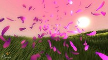 A group of pink flower petals are displayed above a green grassy field with the viewer seemingly amongst them. The sky is pink-toned, and a light yellow sun is shown above the horizon on the right side.