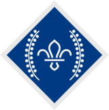The Chief Scout's Diamond Award badge
