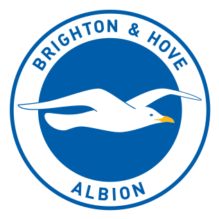 File:Brighton & Hove Albion logo.svg