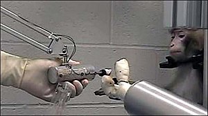 Monkey operating a robotic arm with brain–comp...