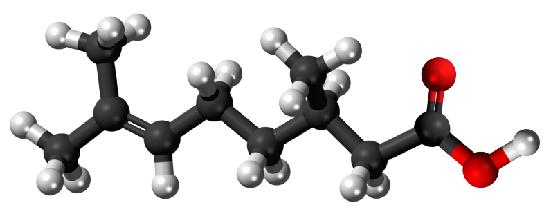 Dosiero:Citronellic acid 3D.png