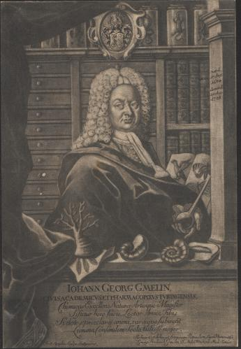 Dosiero:Johann Georg Gmelin (1674-1728) 2.png