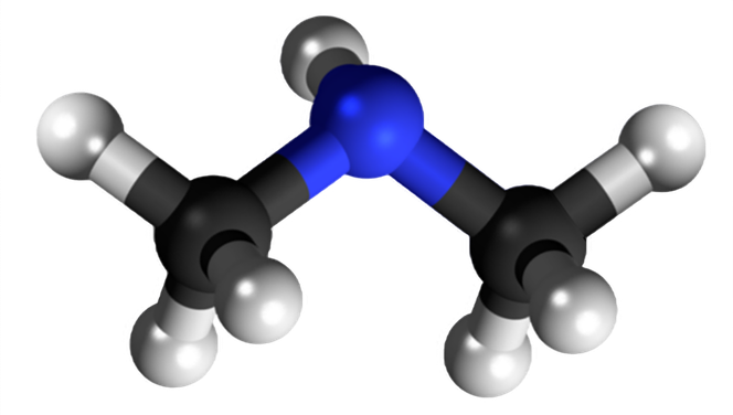 Dosiero:Dimethylamine 3D 2.png