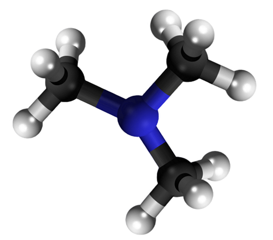 Dosiero:Trimethylamine 3D.png