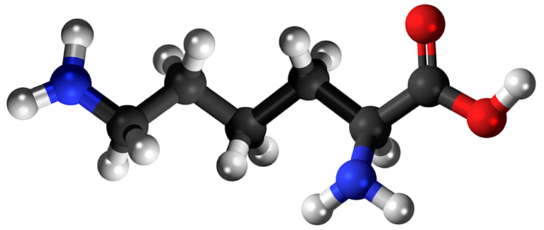 Dosiero:Lysine 3D.png